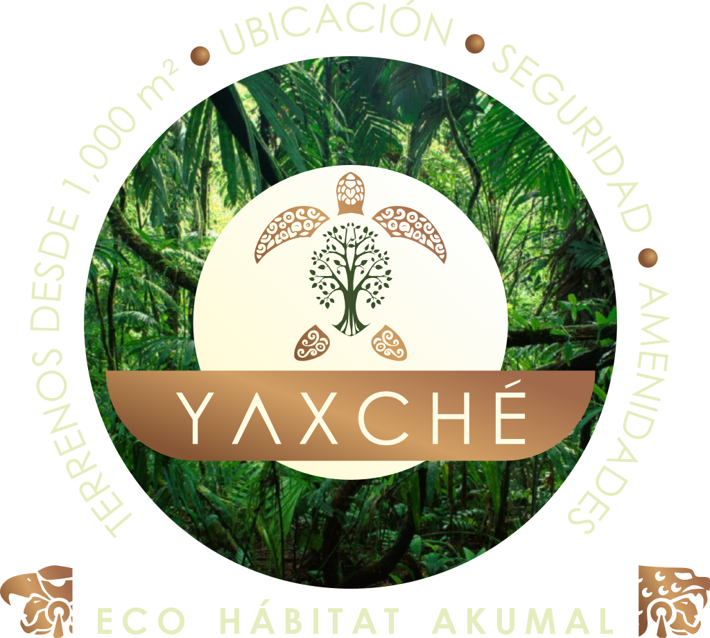 logo tarjs